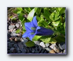 Klik for forst�rrelse
